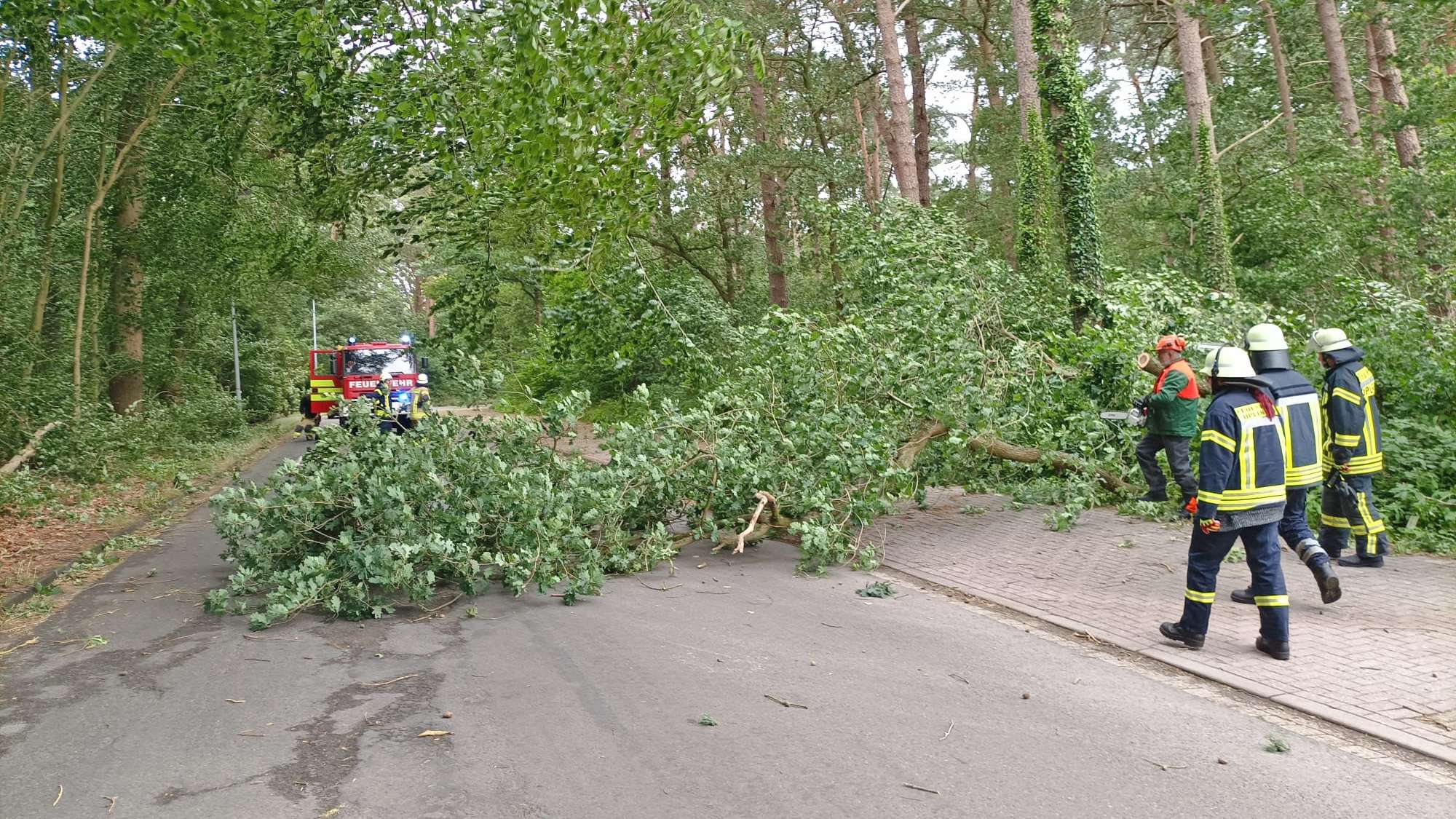 Die meisten Sturmschäden mussten in der Gemeinde Uplengen beseitigt werden. © Feuerwehr