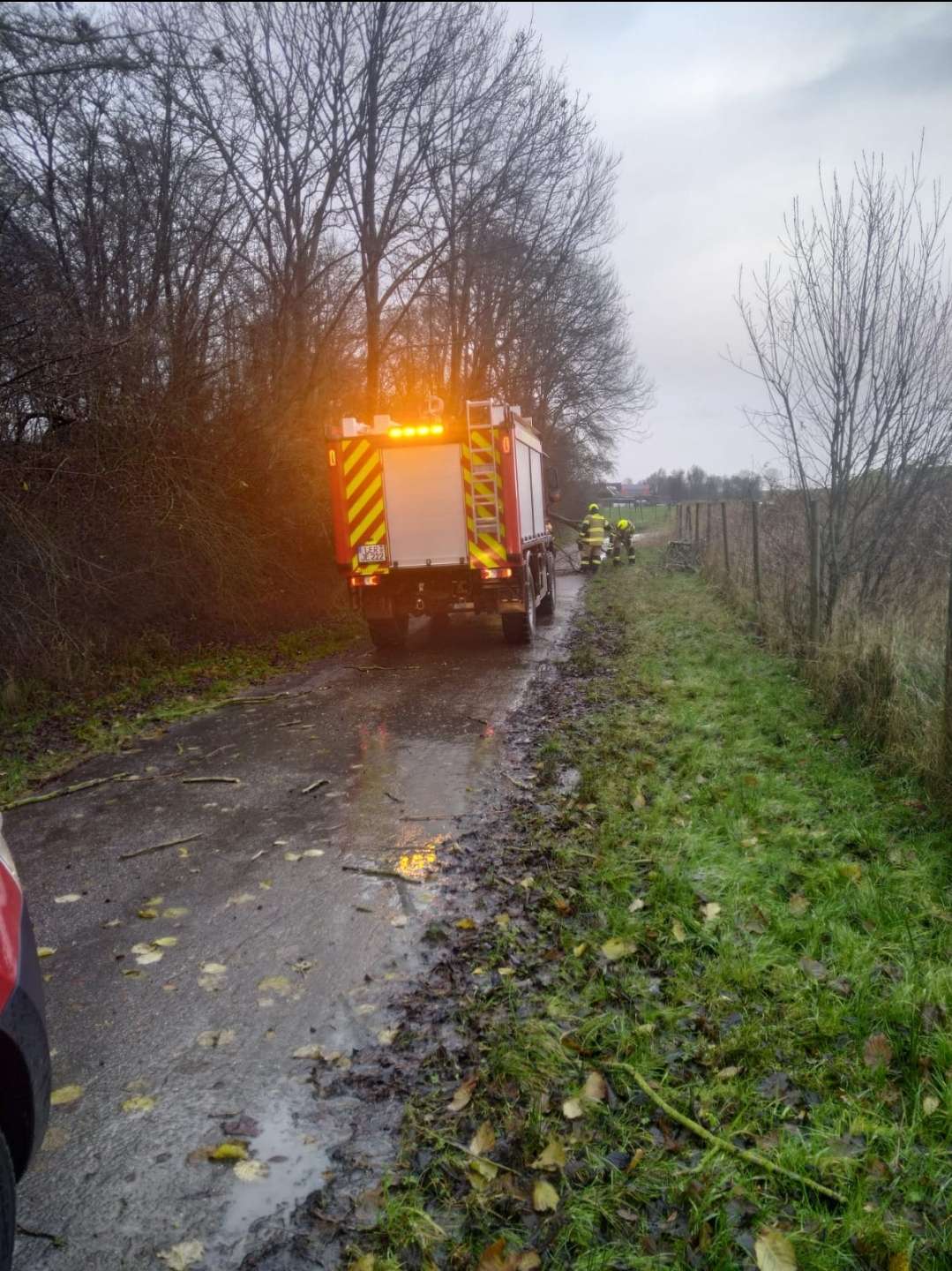Die Feuerwehr aus Jemgum musste am Deichverteidigungsweg einen umgestürzten Baum entfernen. © Feuerwehr Jemgum