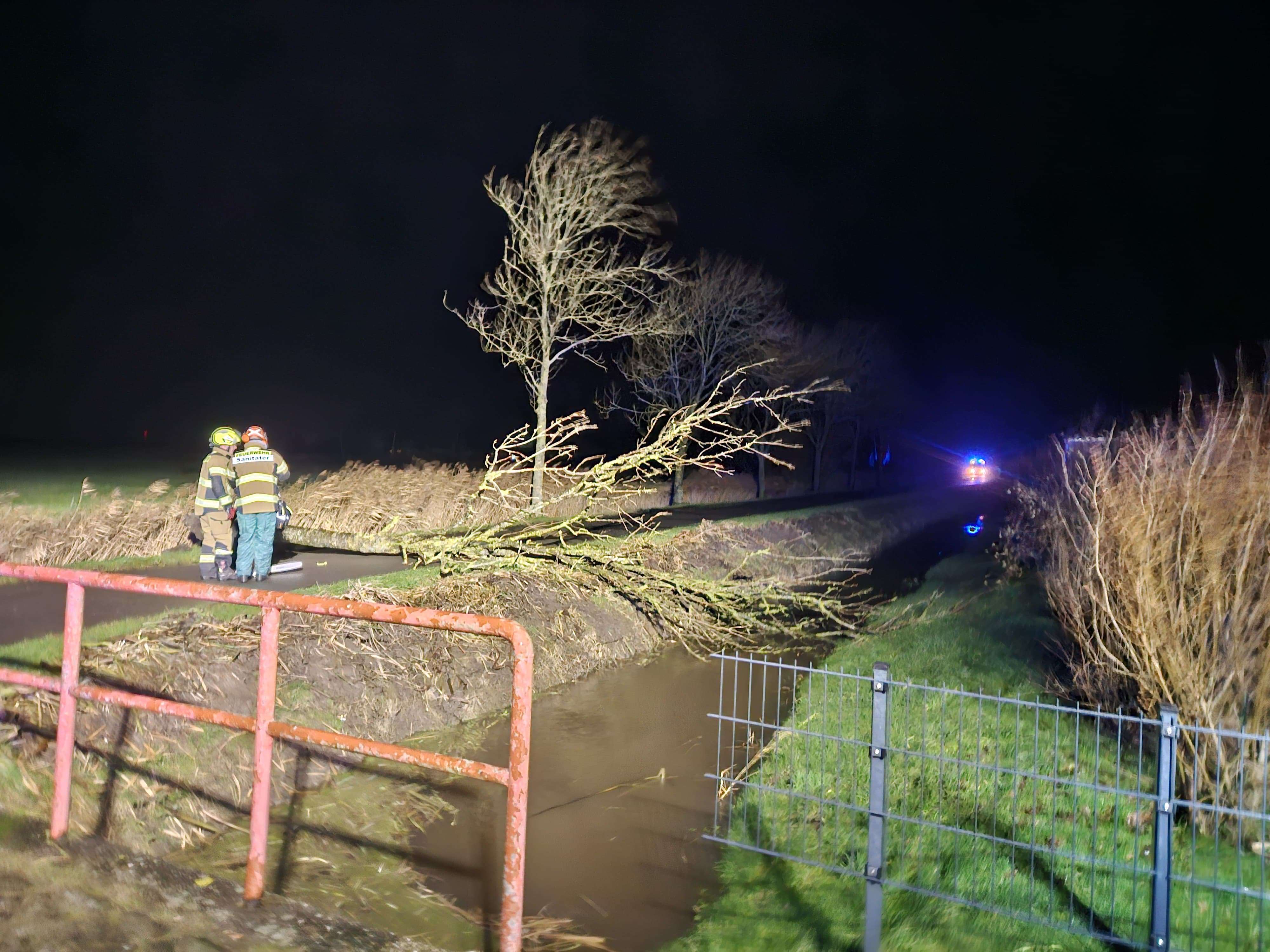 Auf dem Sieltiefsweg in Midlum war ein Baum auf die Straße gestürzt. © Feuerwehr Jemgum