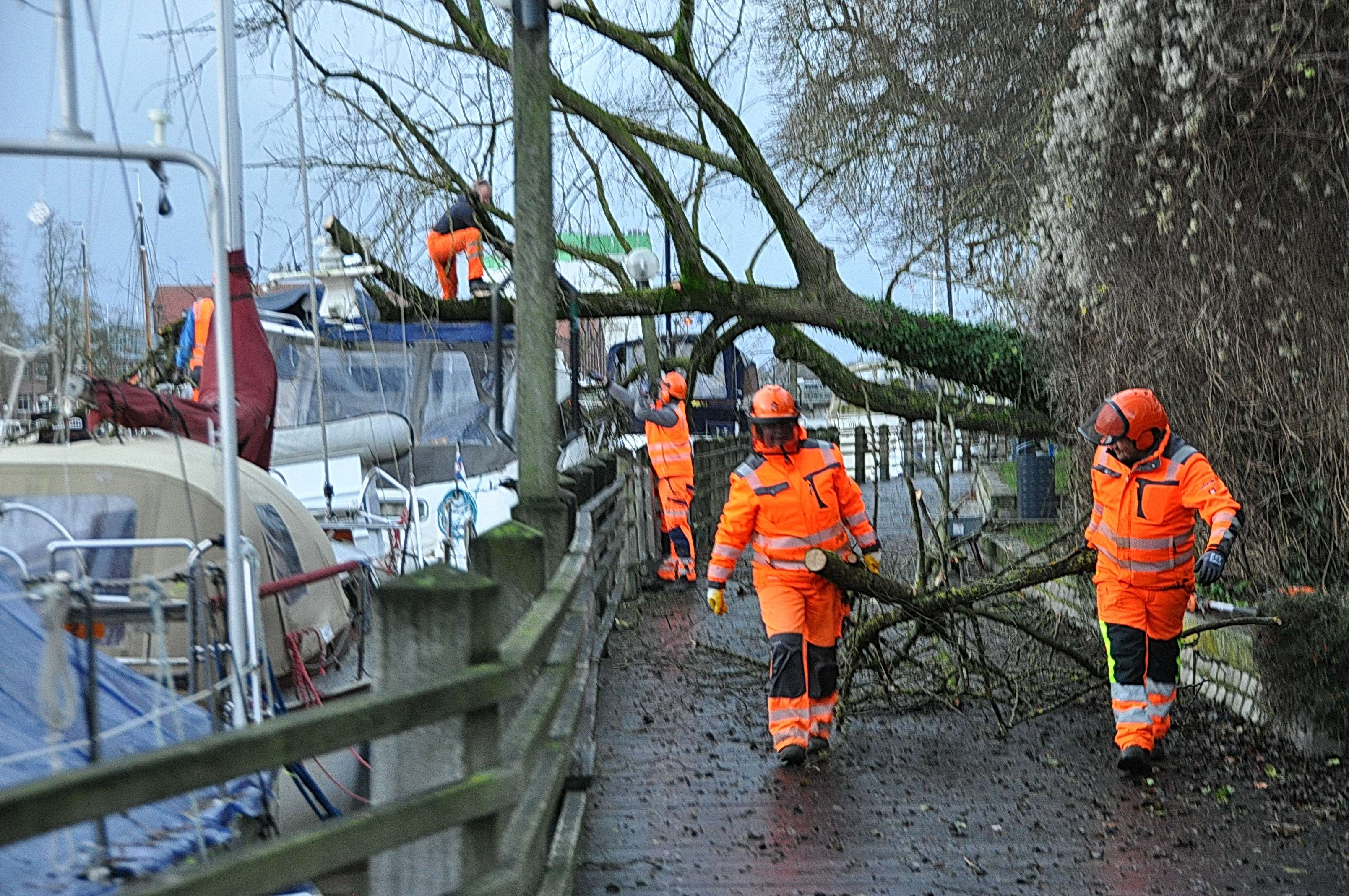 An der Hafenpromenade in Leer war ein Baum umgestürzt. © Wolters