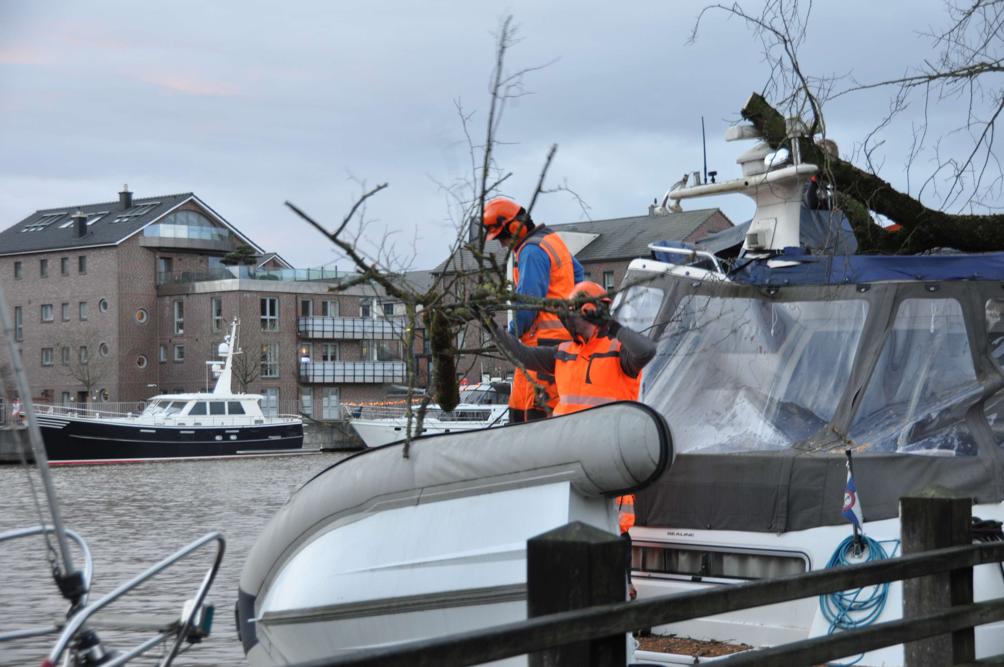 An der Hafenpromenade in Leer war ein Baum umgestürzt. © Wolters