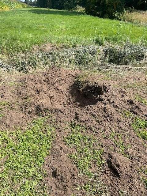 Die Sprengung hinterließ ein kleines Detonationsfeld. © Foto: Polizei