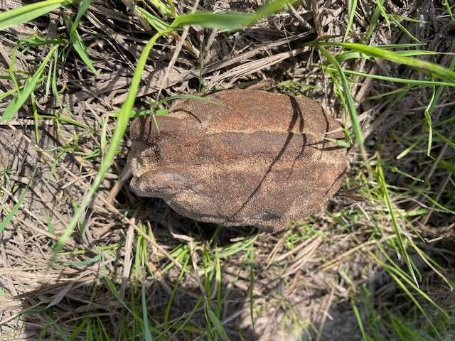 So sah die Splittergranate aus. © Foto: Polizei